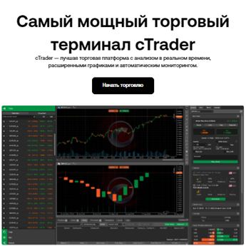 Проект XPBEE — отзывы, разоблачение