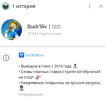 Телеграмм-канал Duck’Sliv | 🅑🅔🅣 — отзывы, разоблачение