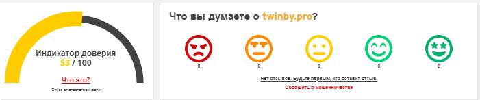 Проект Twinby — отзывы, разоблачение