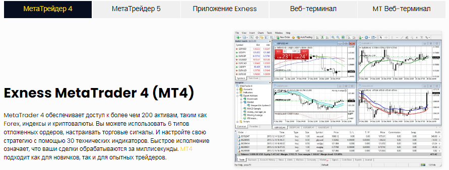 Проект Exness — отзывы, разоблачение