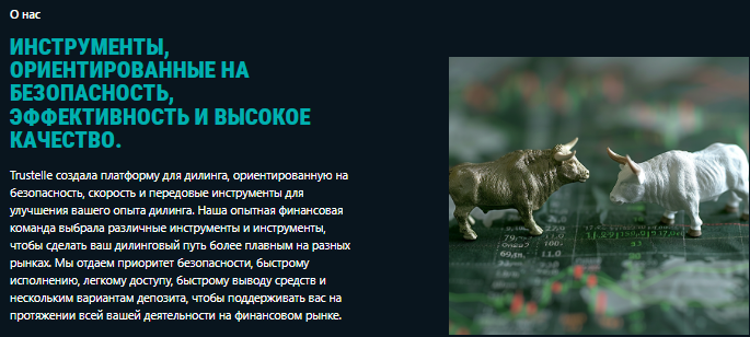 Проект Trustelle — отзывы, разоблачение