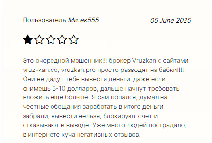 Проект Vruzkan — отзывы, разоблачение