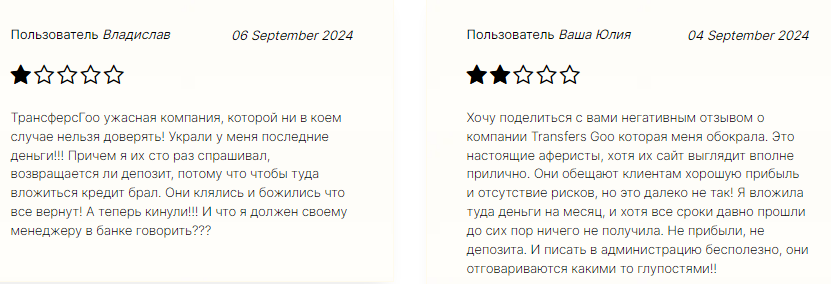 Проект Transfer Goo — отзывы, разоблачение