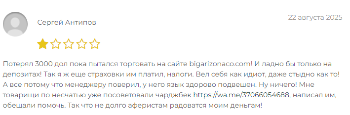Проект Bigarizonaco — отзывы, разоблачение