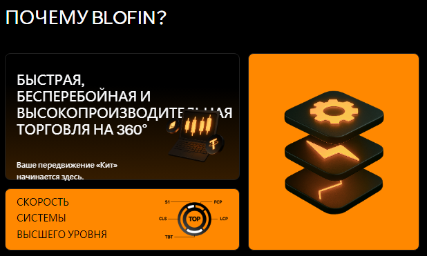 Проект BloFin — отзывы, разоблачение