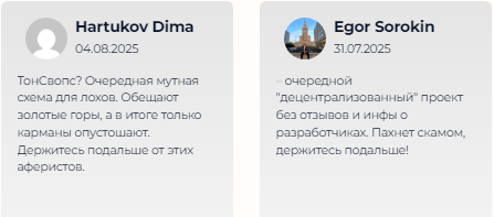 Проект TONSWAPS — отзывы, разоблачение
