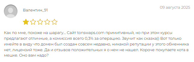 Проект TONSWAPS — отзывы, разоблачение