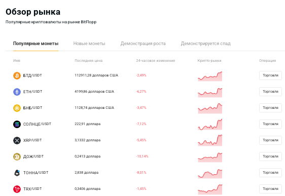 Проект BitFlopp — отзывы, разоблачение