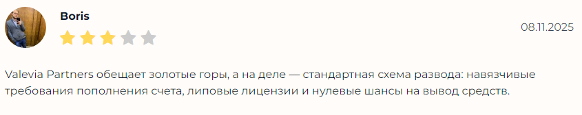 Проект Valevia Partners — отзывы, разоблачение